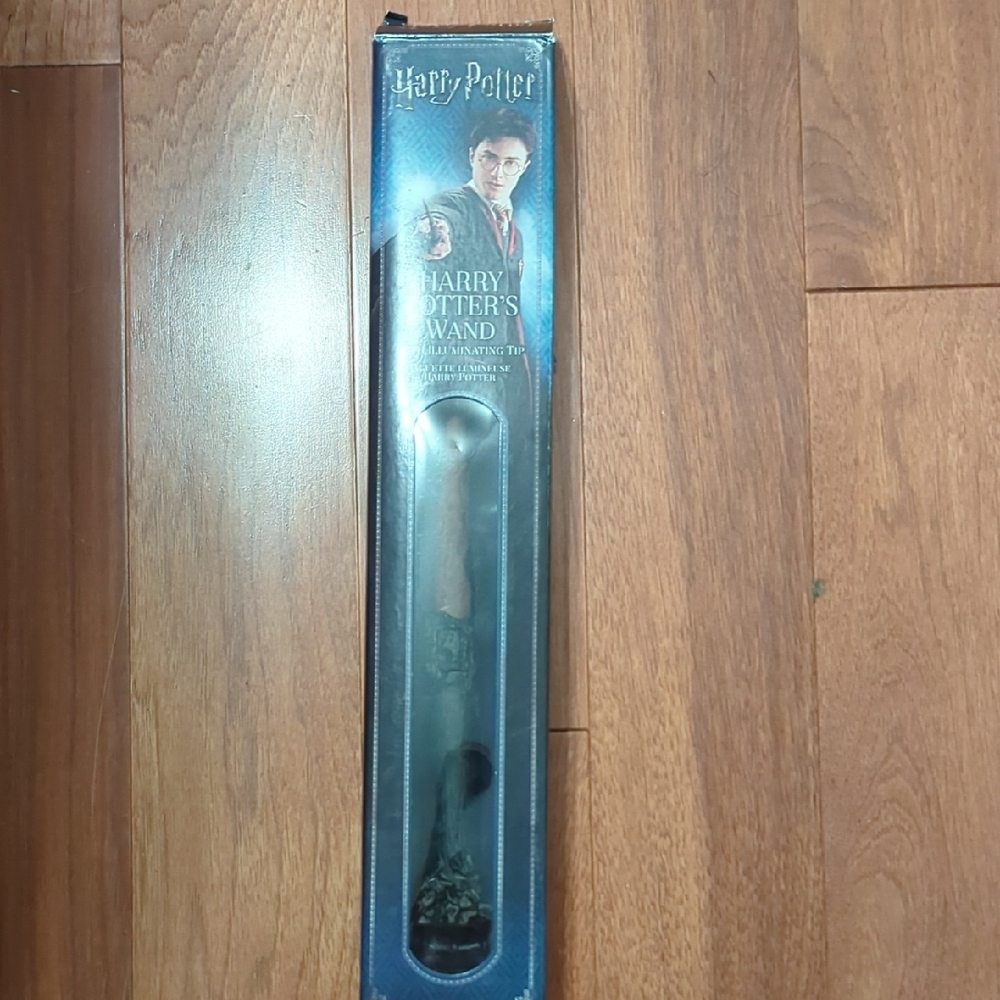 Harry Potter Wand in Box